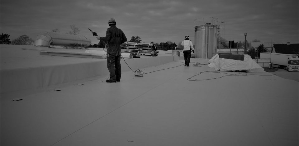 PVC ir TPO membranų stogai