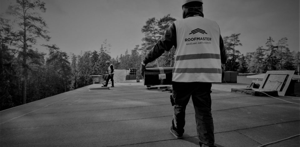 Ritininės bituminės dangos stogai